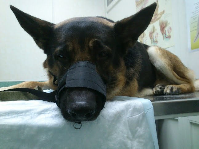 Игорь Подольский ТРУБАДУР | Москва