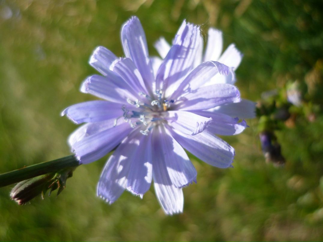 Алексашка Носов | Нижнекамск