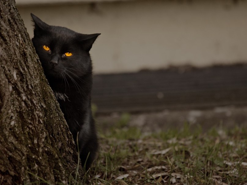 Марина Асунина | Красноярск