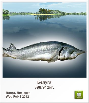 Сергей Андрушенко | Запорожье