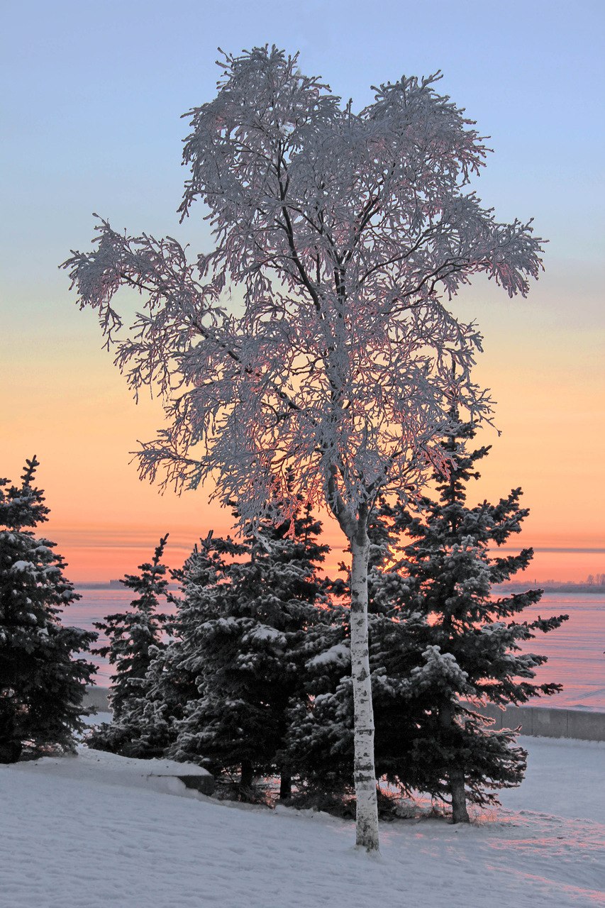 Ася Шторм | Санкт-Петербург