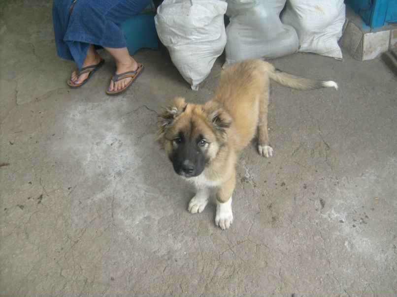 Brain Oconer | Днепр (Днепропетровск)