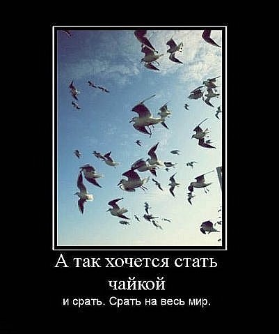 №4, Глеб Сосой, 35 лет, Дмитров №4, Глеб Сосой, 35 лет, Дмитров