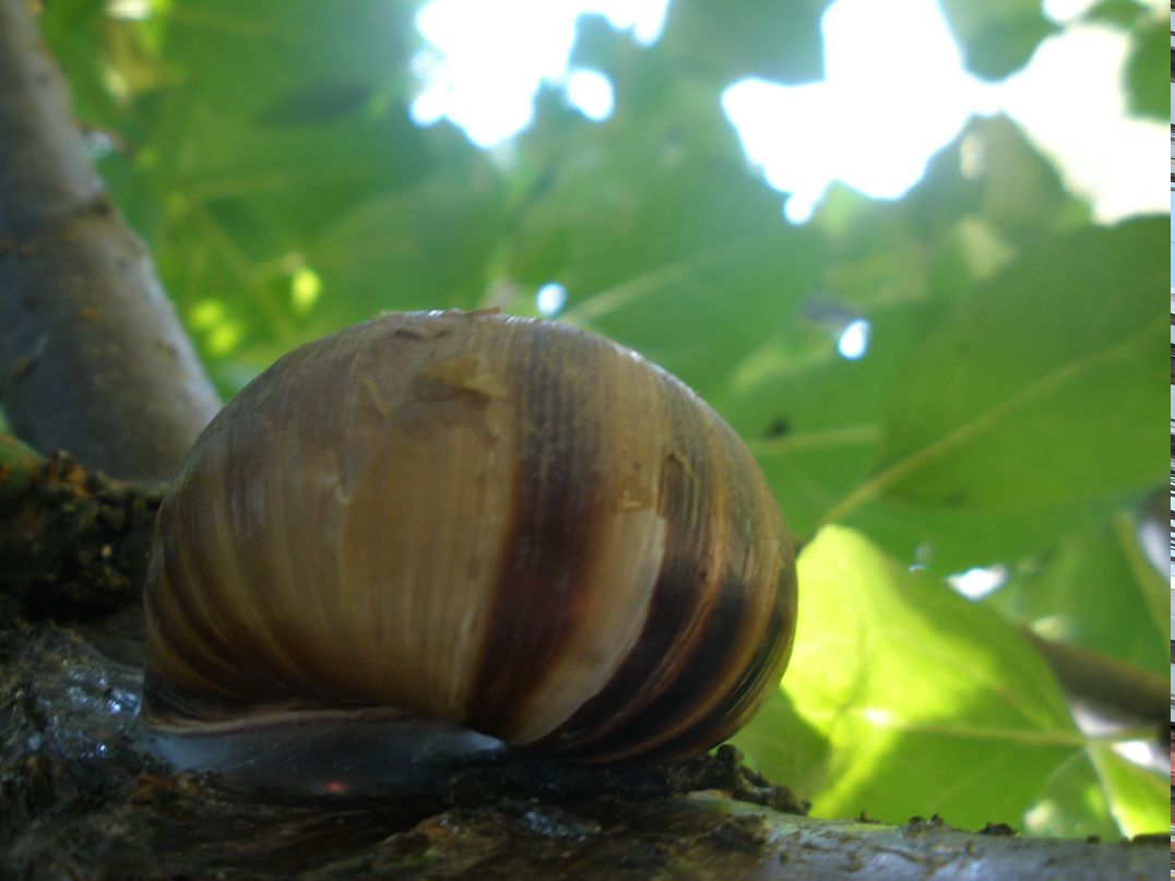 Мария Кулида | Херсон