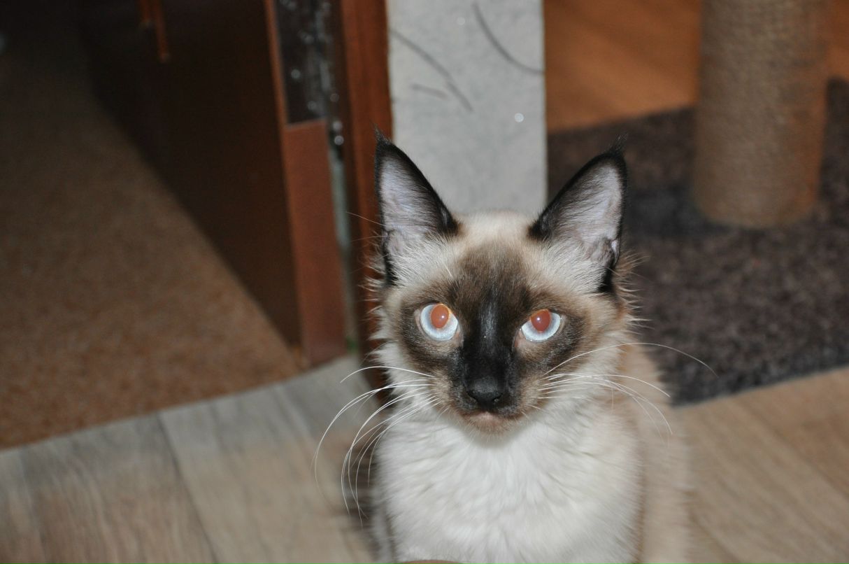 Владимир Михайлов | Москва