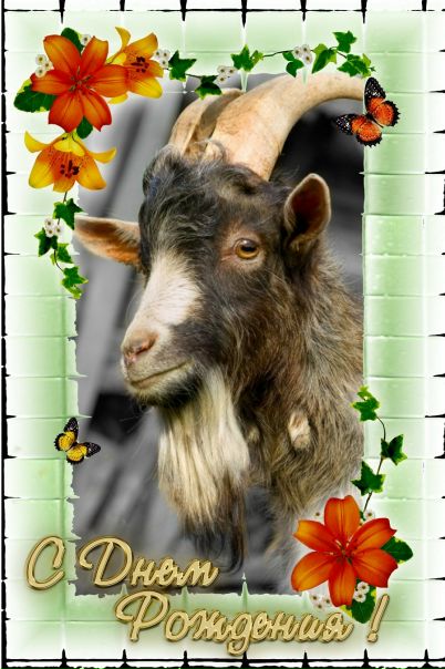 №44, Виктор Аксёнов, Белгород №44, Виктор Аксёнов, Белгород