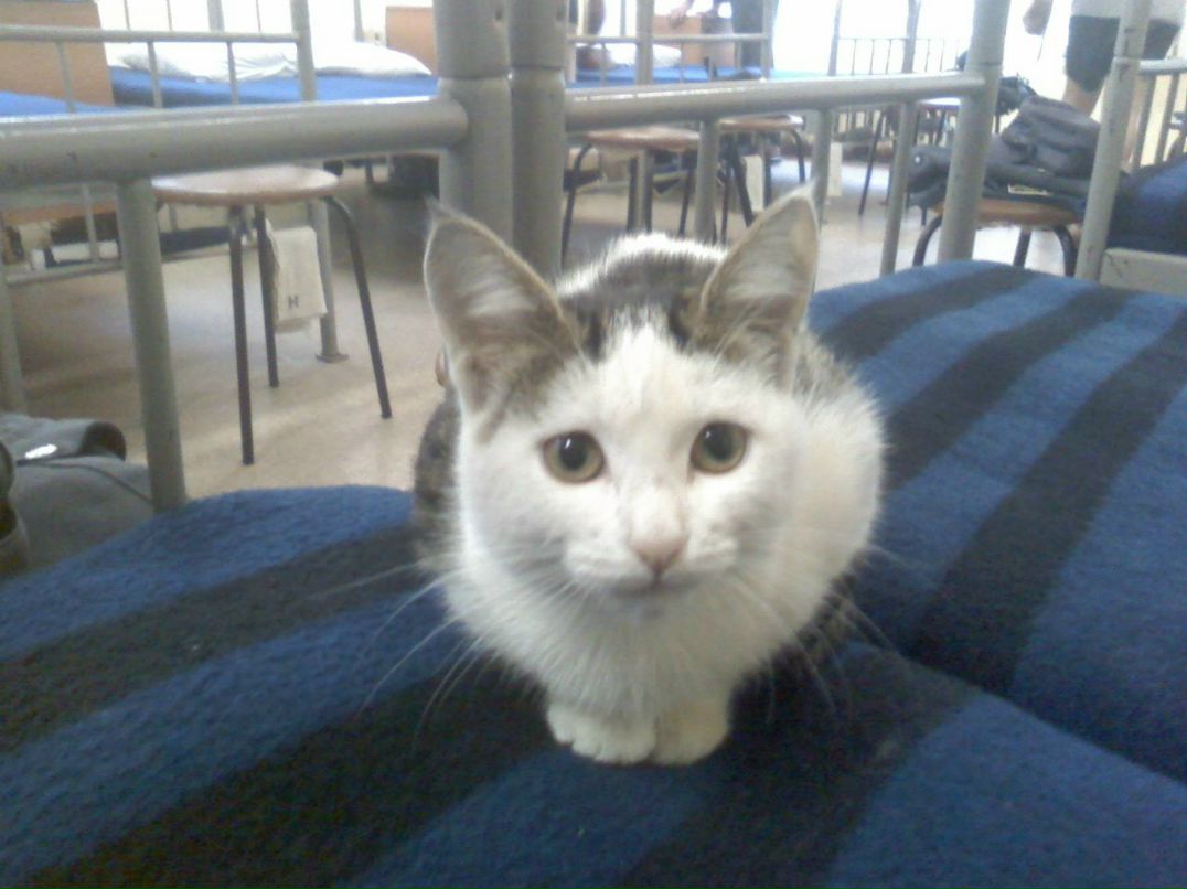 Айрат Бикмиев | Казань