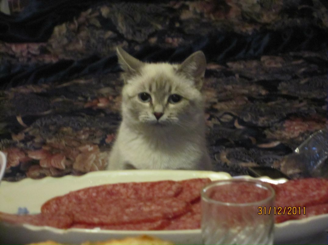 Наташа Тезенина | Санкт-Петербург