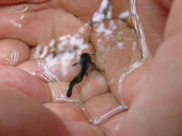 Андрей Гагилев | Казань