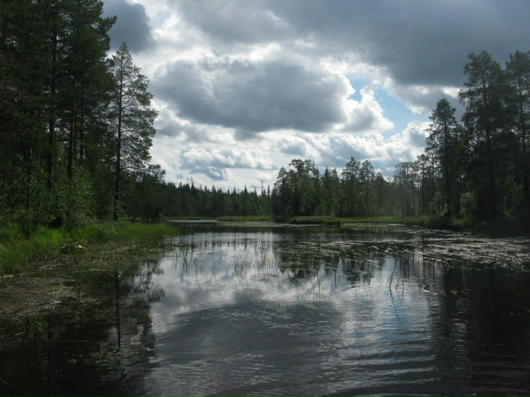 Петр Чебадухин | Москва