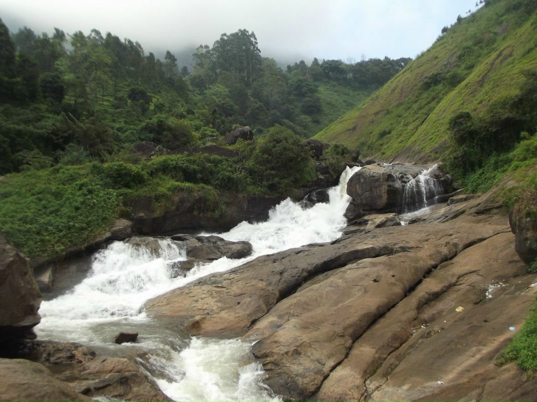 Игорь Гоголев | Тель-Авив