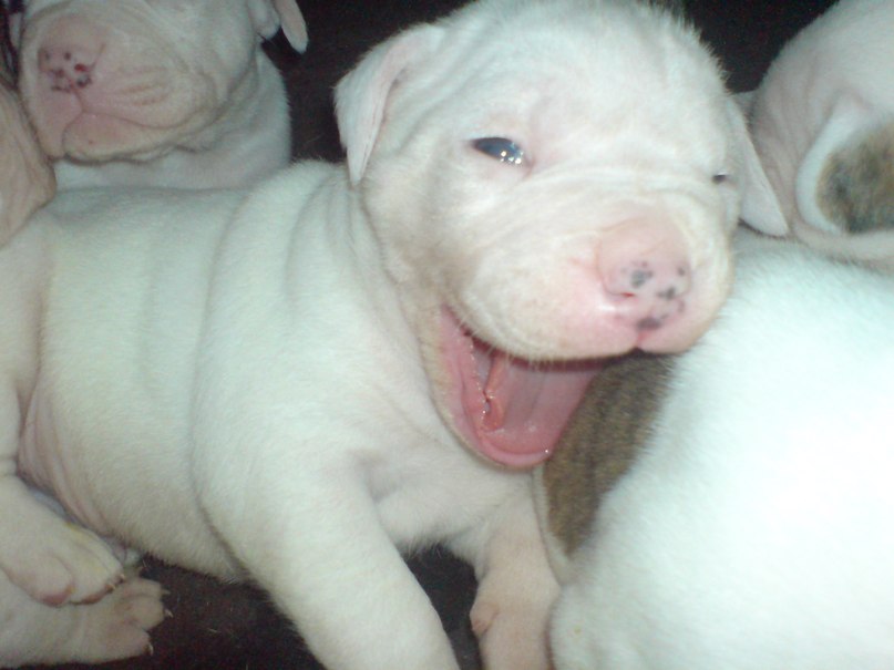 Жека Раджабов | Киев