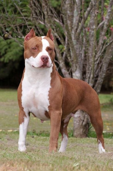 Максим Недай | Харьков