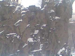 Андрей Веселов Владимирович | Оржицы