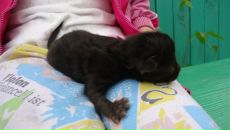 №33 Елена Матрохина : профиль, фото, статус - ВКонтакте №33 Елена Матрохина : профиль, фото, статус - ВКонтакте