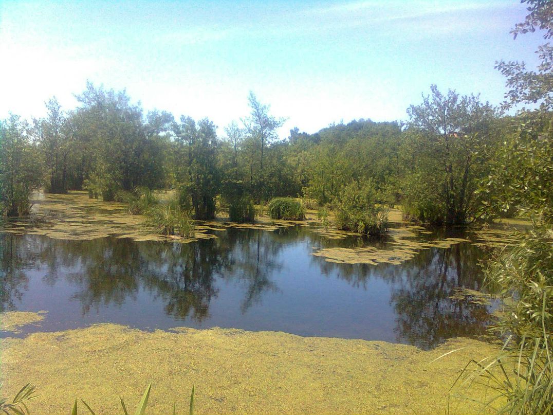 Інна Ситник | Ровно