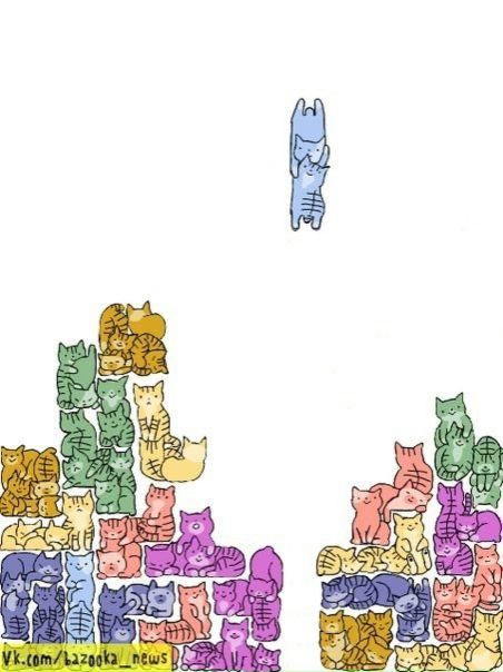 №47, Ольга Кумихина, 39 лет, Москва №47, Ольга Кумихина, 39 лет, Москва