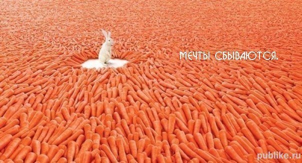 Танюшка Дружченко | Киев