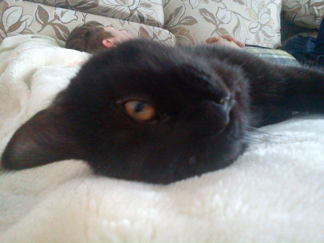 Василий Гаврилов Александрович | Пермь