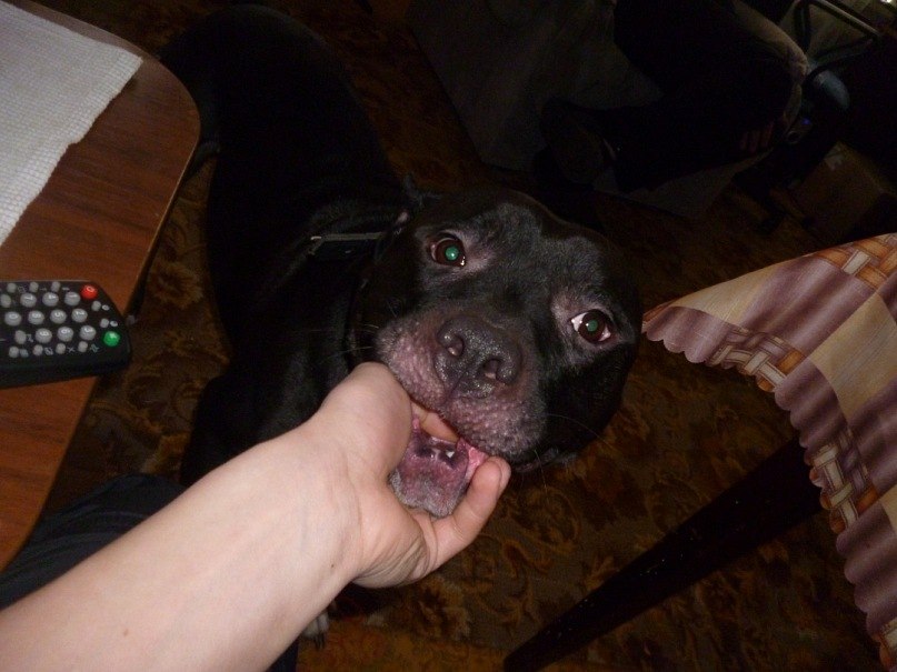 Илья Митин | Нижний Тагил