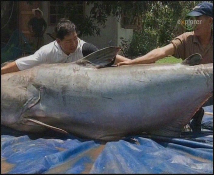 Анастасия Волкова | Москва