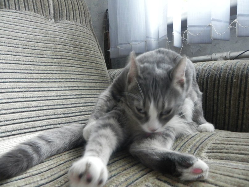 Максим Мусапиров | Санкт-Петербург