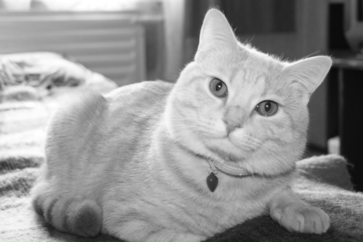 Яна Голобородько | Владивосток