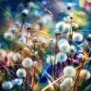 №16 Нелли Куршубадзе 10.08: профиль, фото, статус - ВКонтакте