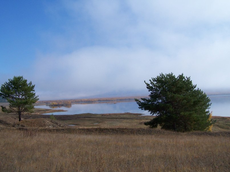 Павел Серкин | Кумора
