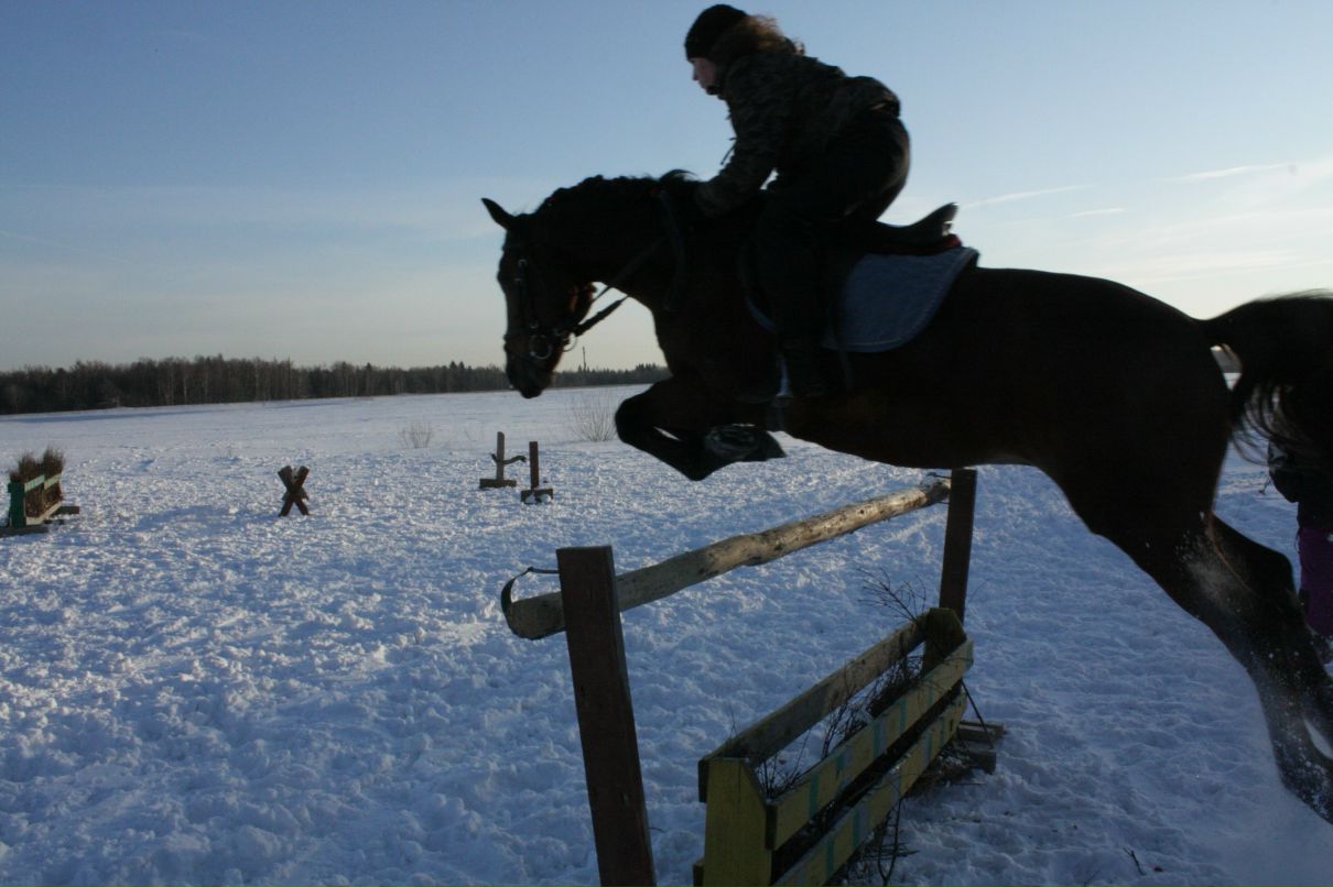Анна Стекольщикова | 