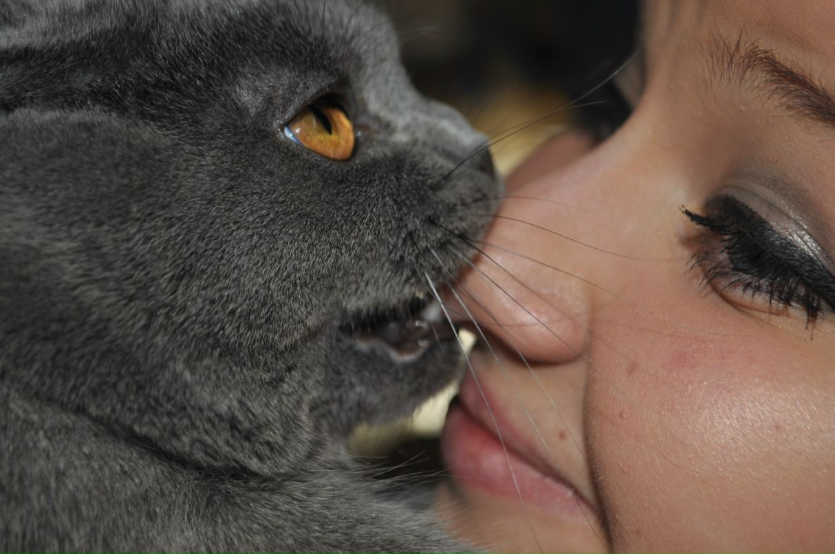 Анна Асмолова Сергеевна | Воронеж