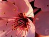 Nadya Burbela | Киев