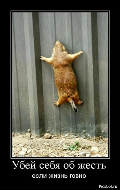 №74, Ксения Овчинникова, 34 года, Ярославль №74, Ксения Овчинникова, 34 года, Ярославль