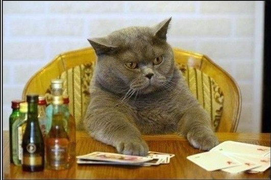 Євген Захарченко | Полтава