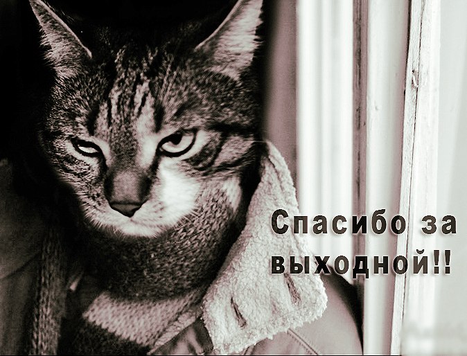 Анна Бесова | Москва