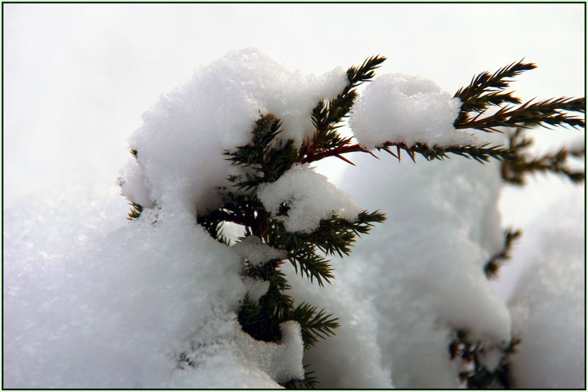 Любовь Коптяева | Москва