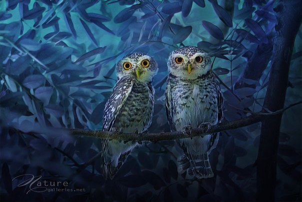 Анютик Савостьянова @last night a Dj saved my life@ | Москва