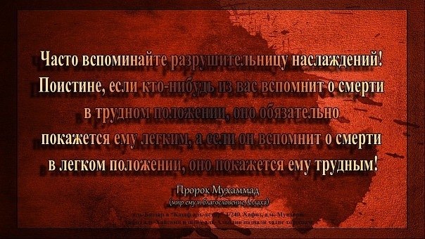 Ислам Рамазанов | 