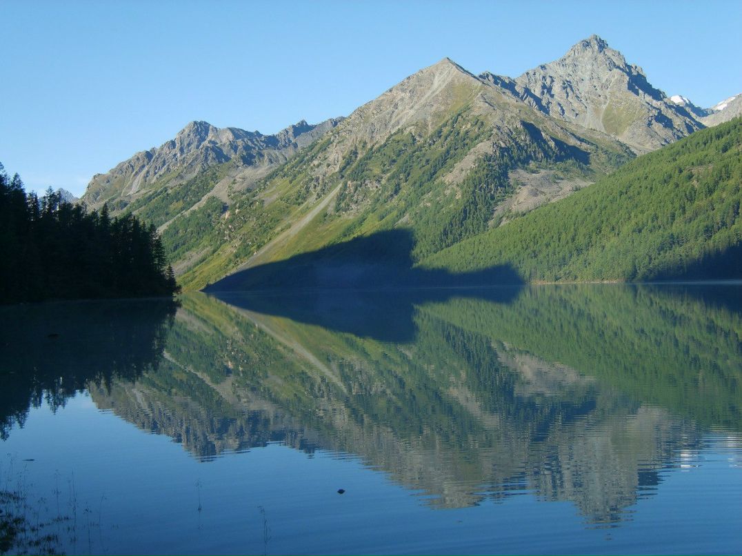 Дмитрий Поляков | 