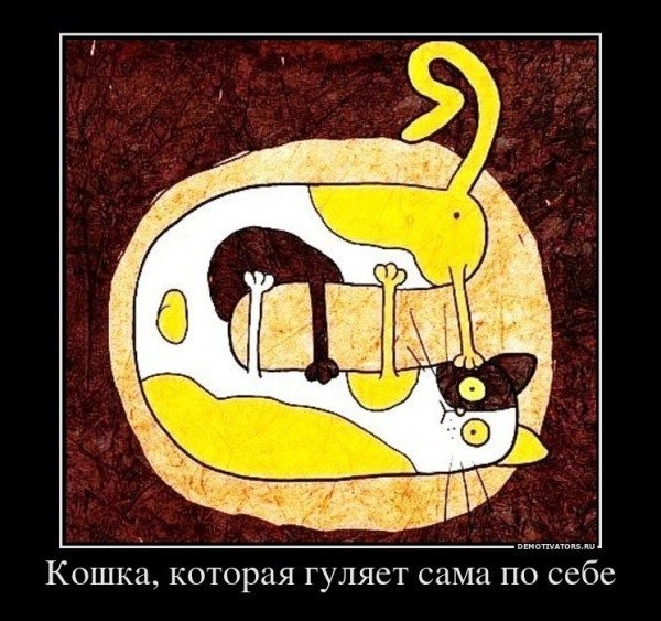 Дмитрий Белокотов | 