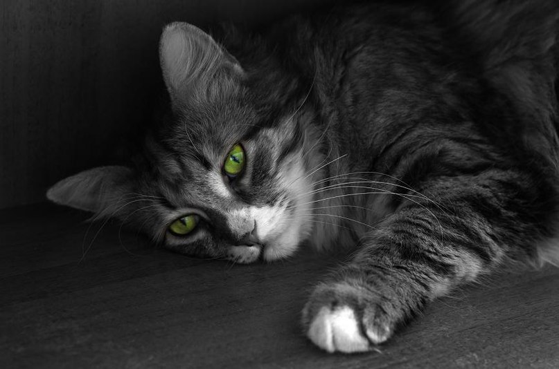 Алла Лукашова | Рязань