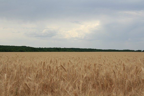 Денис Карасев | Чертково