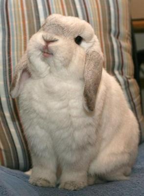 №19, Nata Shestopalova №19, Nata Shestopalova