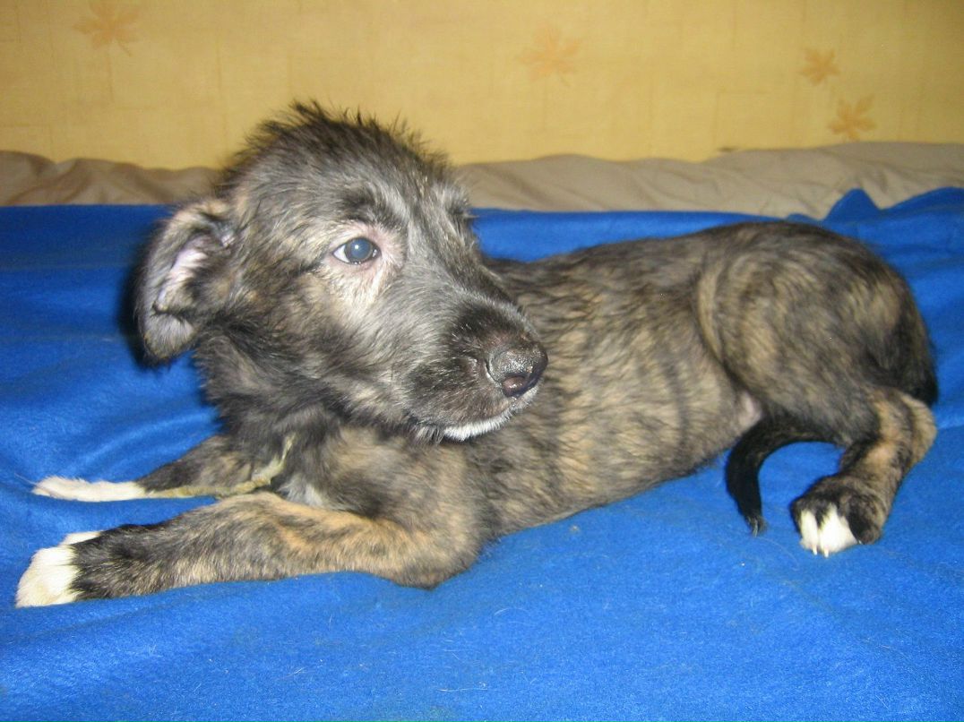 Андрей Ждахин | Екатеринбург