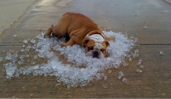 Олег Романов | Санкт-Петербург