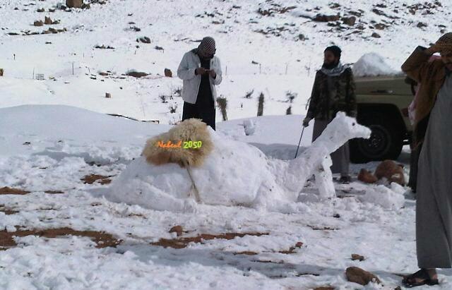Светлана Аль-Шэлви ۞ | Toronto