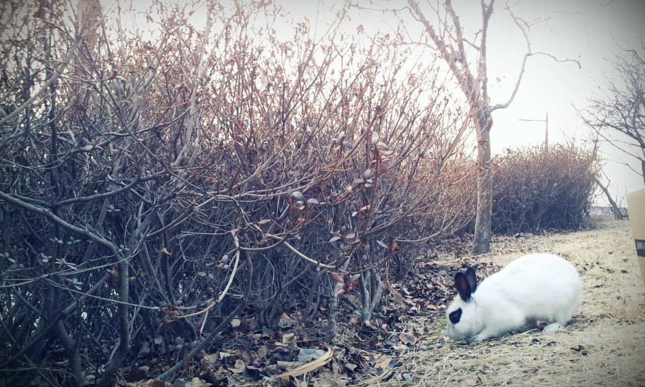 Marina Potapova | Новосибирск