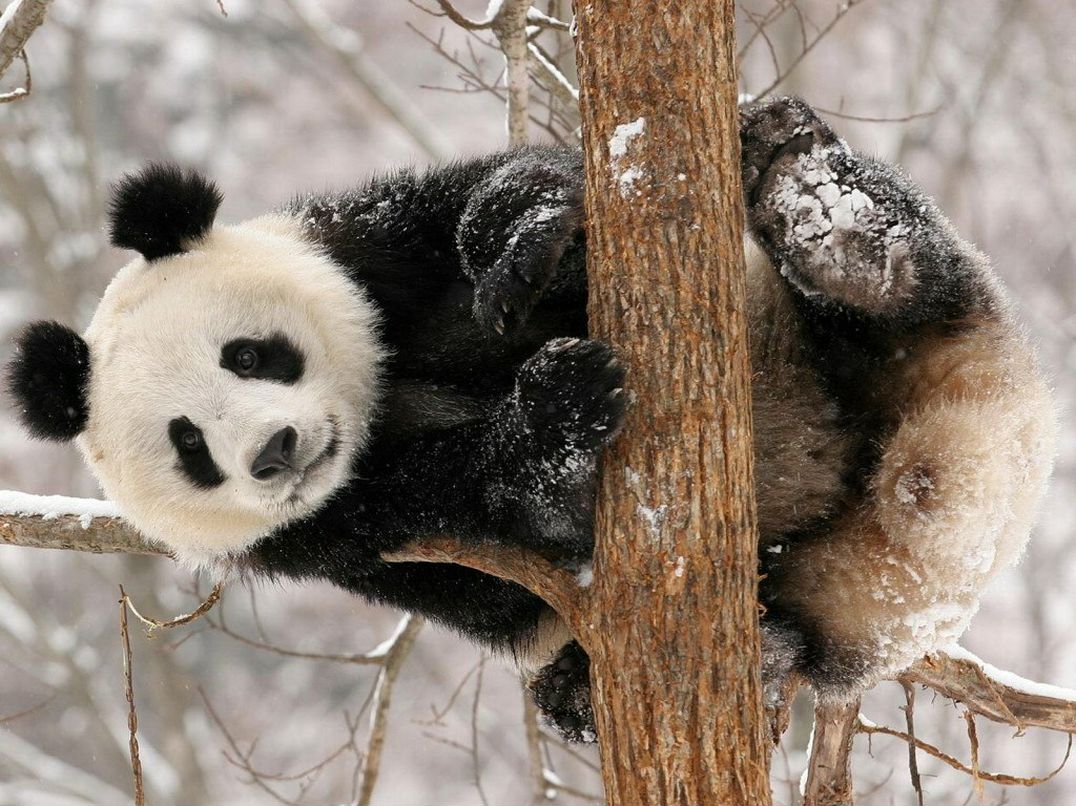Гузель Муллахметова | Санкт-Петербург