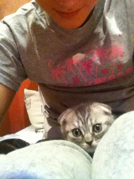 №74, Наташа Куковинец №74, Наташа Куковинец