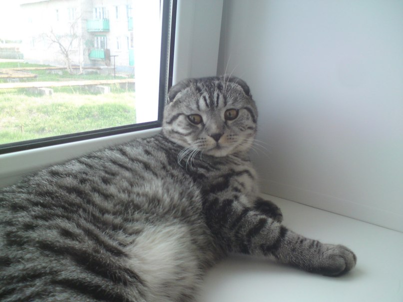 Илья Ручейков | Кострома